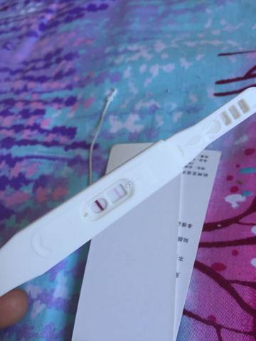 journal_insert_pic_736768011