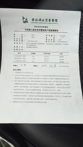 journal_insert_pic_737706170