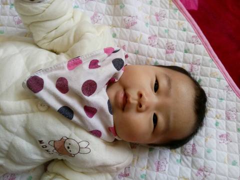 journal_insert_pic_737918847