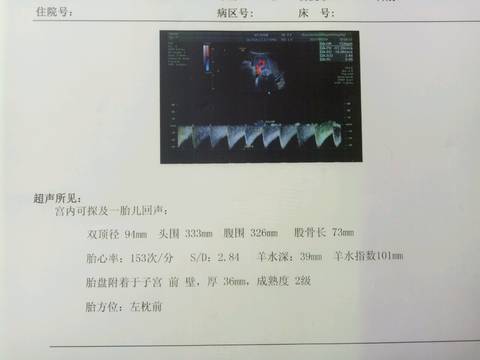 journal_insert_pic_737656827