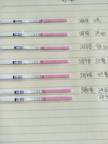 journal_insert_pic_739423444