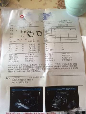 journal_insert_pic_739612319