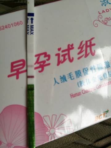 journal_insert_pic_739037909