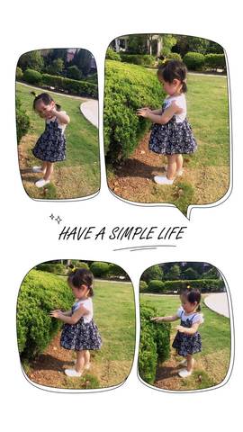 journal_insert_pic_739812910