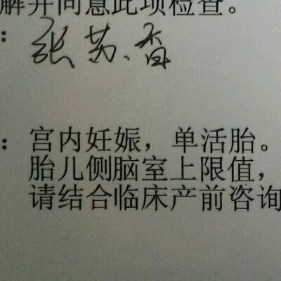 journal_insert_pic_741524846