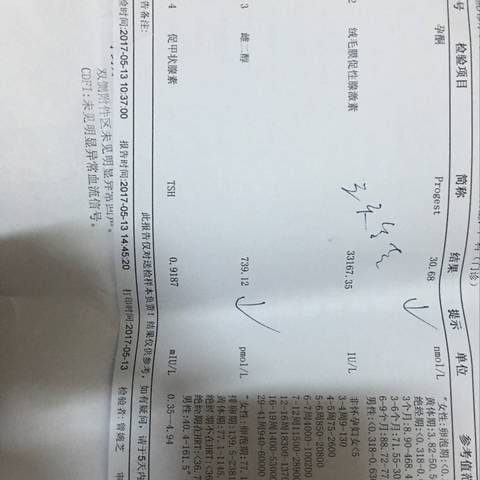 journal_insert_pic_741390961