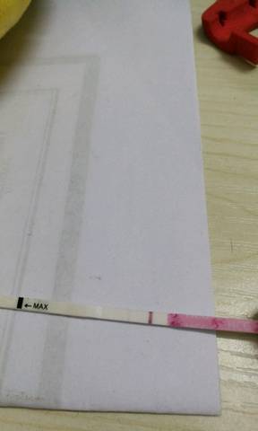 journal_insert_pic_741253986