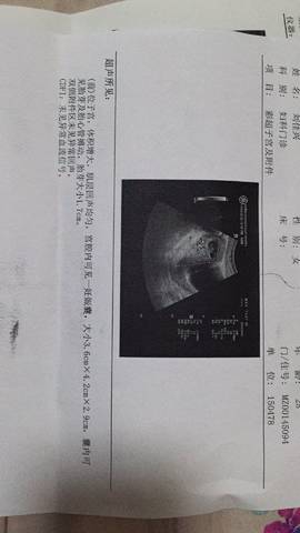 journal_insert_pic_741768919