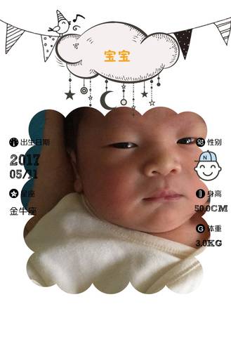journal_insert_pic_742631183