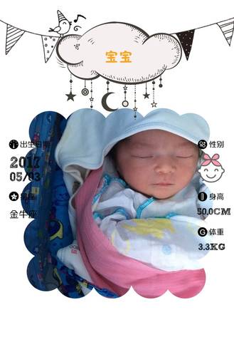 journal_insert_pic_743474596