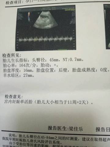 journal_insert_pic_743513620