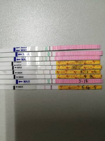 journal_insert_pic_743411732