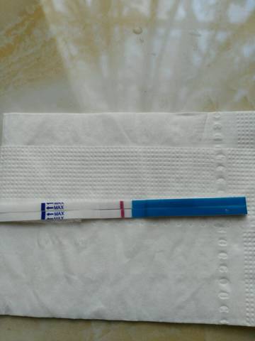 journal_insert_pic_743705297