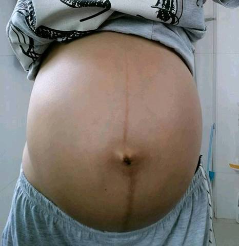 journal_insert_pic_743991241