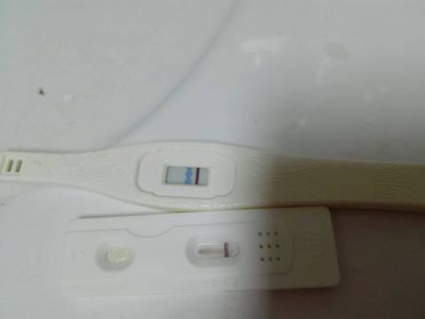 journal_insert_pic_743721130
