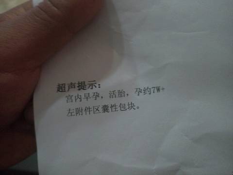 journal_insert_pic_744584130