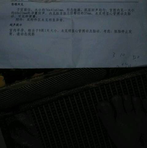 journal_insert_pic_745815859