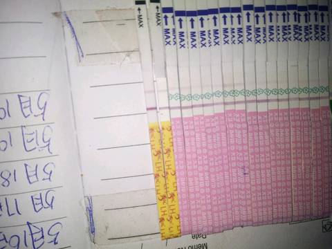 journal_insert_pic_745756113