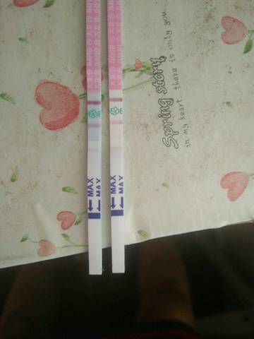 journal_insert_pic_745396745