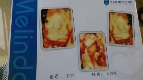journal_insert_pic_745328497