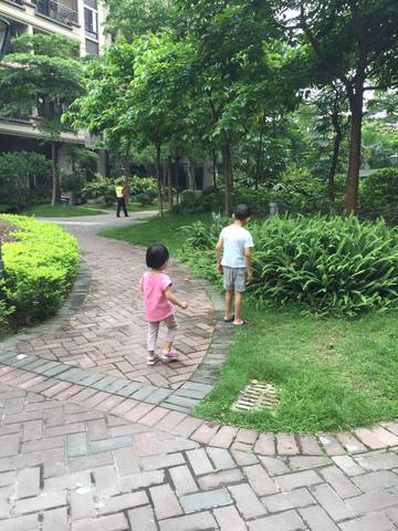 journal_insert_pic_745511674