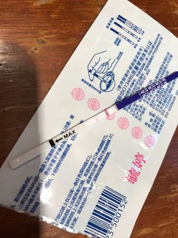 journal_insert_pic_746047135
