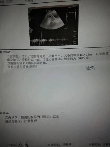 journal_insert_pic_747237522