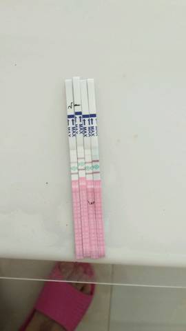 journal_insert_pic_746852492