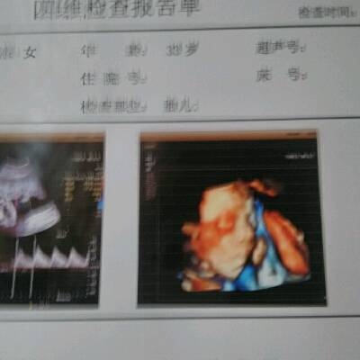 journal_insert_pic_747166909
