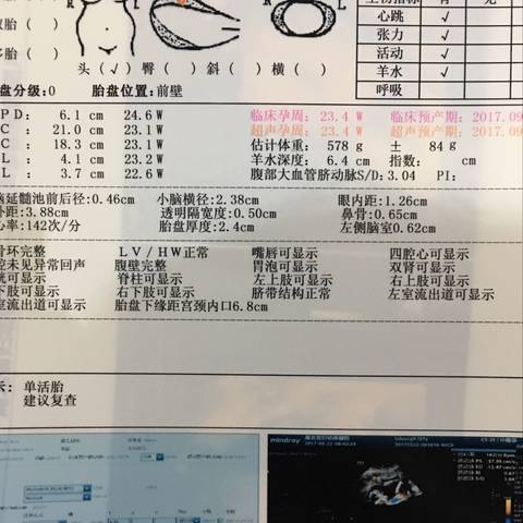 journal_insert_pic_747927912