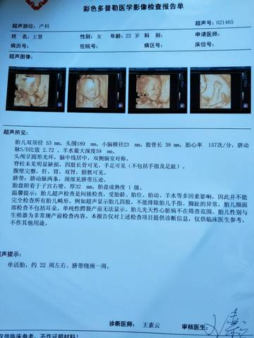 journal_insert_pic_748210587