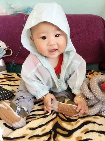 journal_insert_pic_747676614