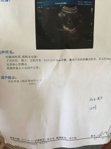 journal_insert_pic_747780044