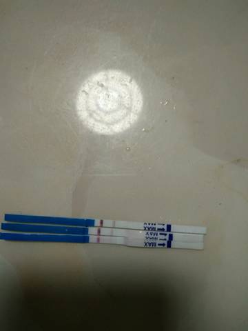 journal_insert_pic_750176785