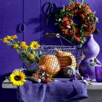 journal_insert_pic_751580594