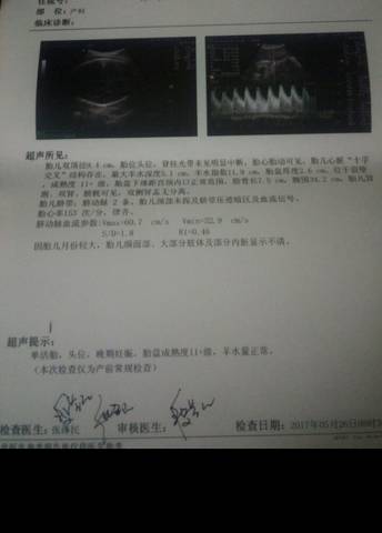 journal_insert_pic_751729945