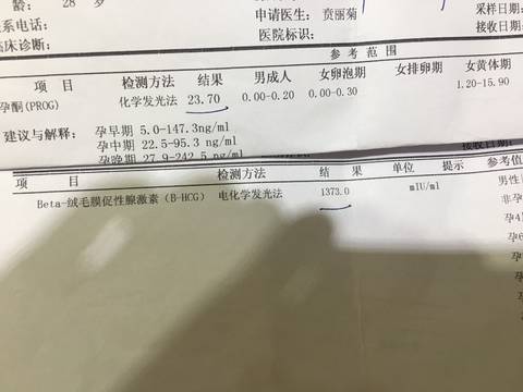 隔天hcg翻倍啦 安心等第一次b超 宝宝树