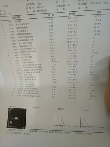 journal_insert_pic_753203138