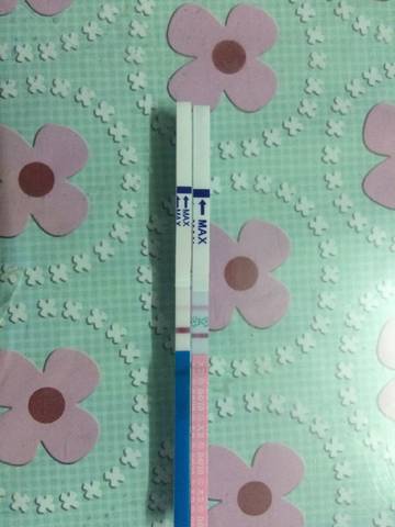 journal_insert_pic_753283923