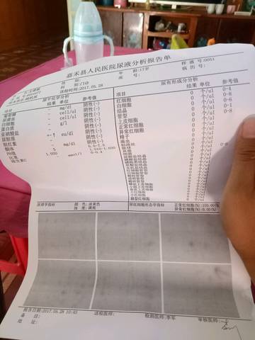 journal_insert_pic_753203131