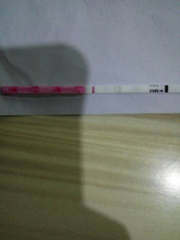 journal_insert_pic_754182510