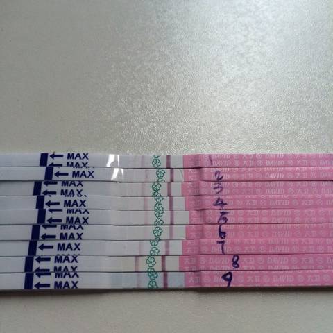 journal_insert_pic_753798540