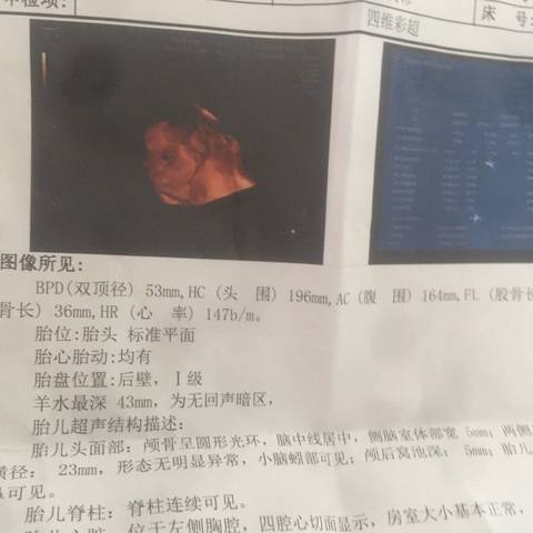 journal_insert_pic_754459555