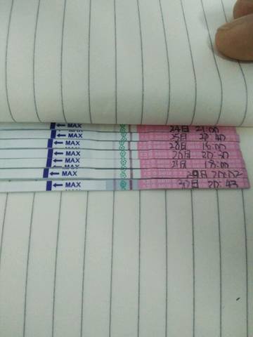 journal_insert_pic_755047278