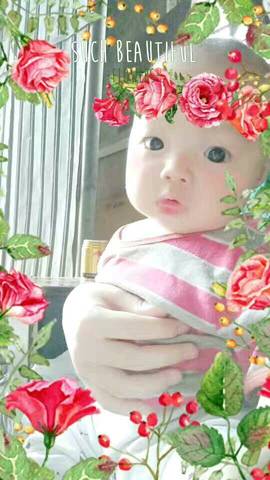 journal_insert_pic_754980739