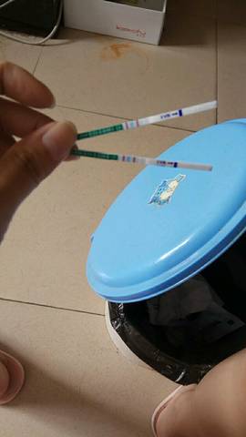 journal_insert_pic_754669141