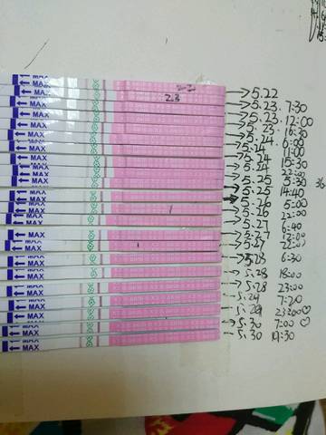 journal_insert_pic_756865416