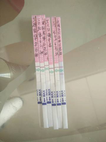 journal_insert_pic_757691672