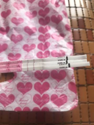 journal_insert_pic_757539653