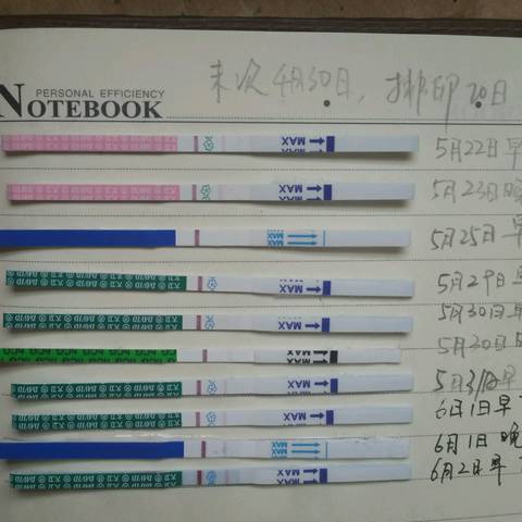 journal_insert_pic_757451563